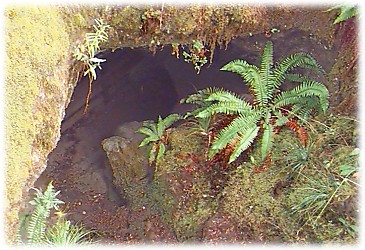 Little Red River Cave Entrance