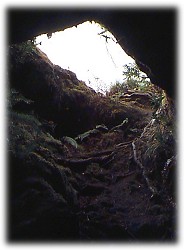 Little Red River Cave Entrance