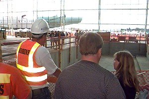 Goose in the Parking Lot